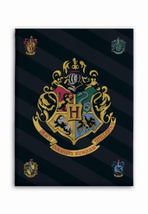 Koc licencyjny polarowy Harry Potter 100x140 BrendMac