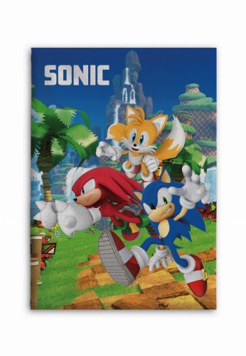 SONIC 023 FT.jpg