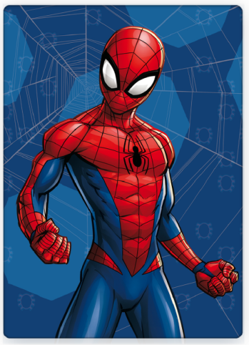 Spiderman 1024 FT.PNG