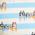 Bluey baby 4.jpg