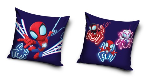 SPIDEY250823.jpg