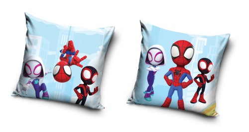 SPIDEY250838.jpg